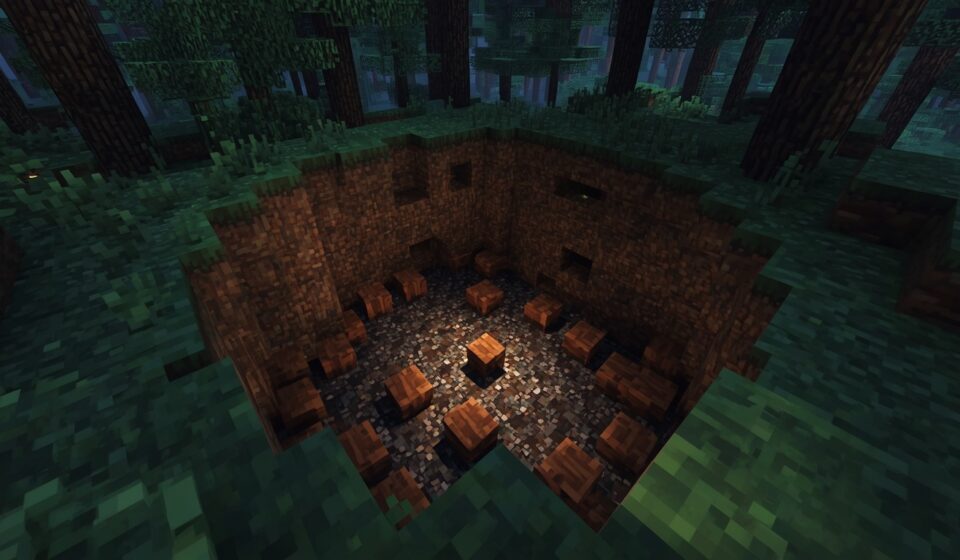 Trail Ruins in Minecraft dig