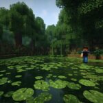Minecraft swamp