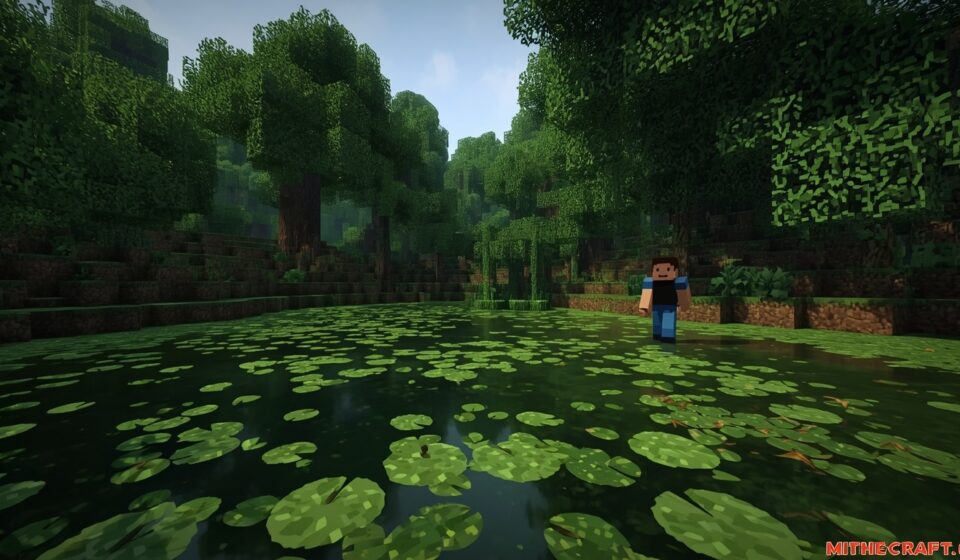 Minecraft swamp